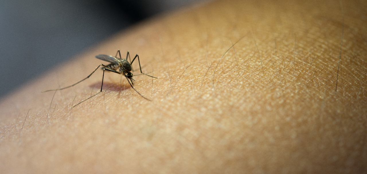 Roraima apresenta redução de 23% nos casos de malária
